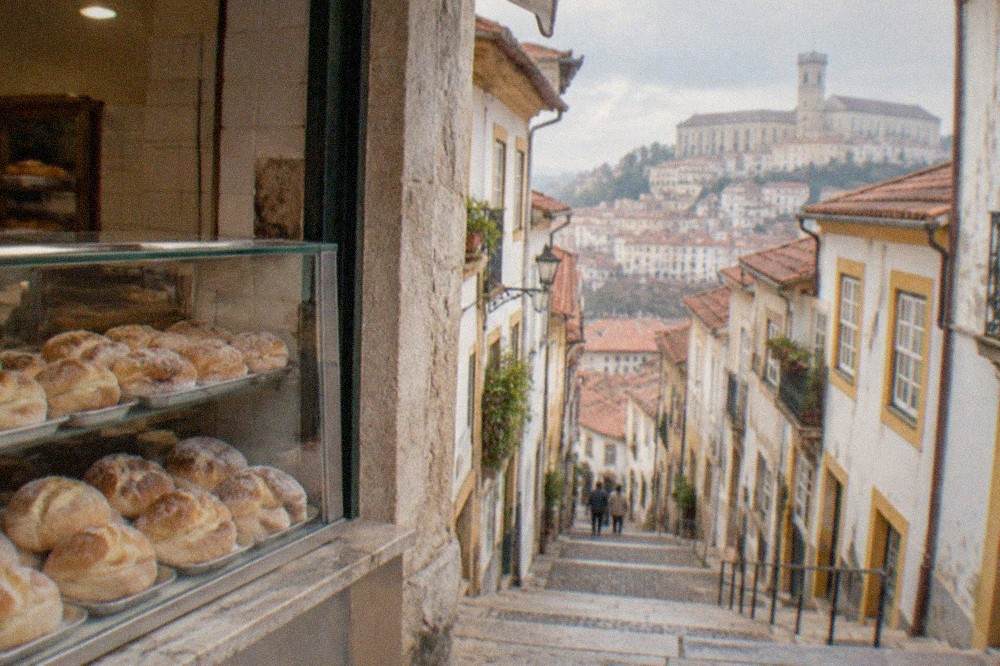 A Coimbra bakery counter displaying trays of arrufada buns dusted with sugar