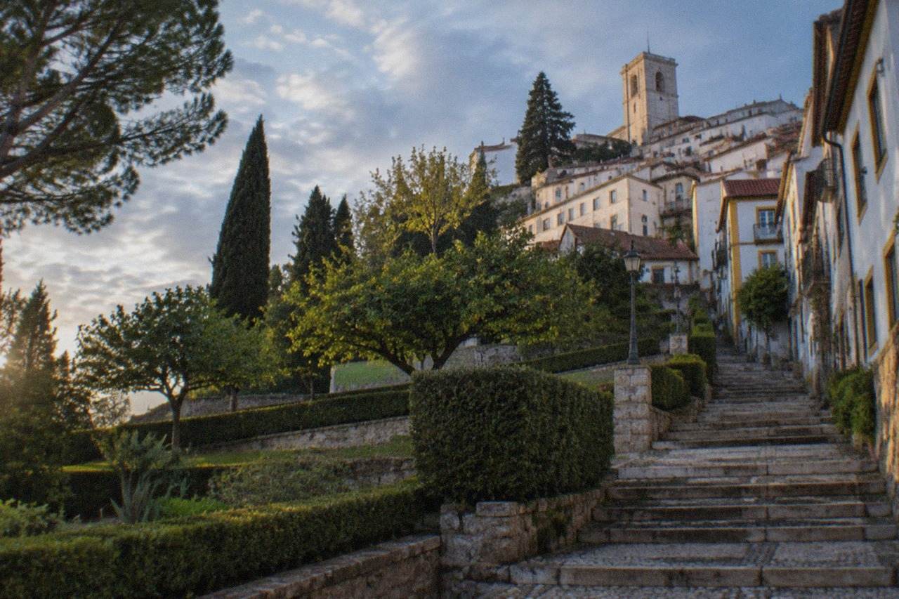 Sunlit terraced garden with stone steps, clipped hedges and tall trees on a hillside in Coimbra