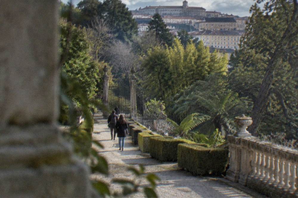 Visitors walking a gravel path between hedges with the university buildings visible above the trees