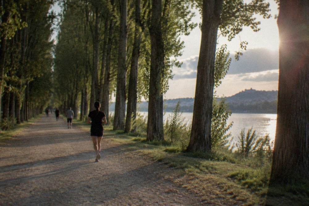Runners and walkers on a wide flat gravel path through tall riverside trees
