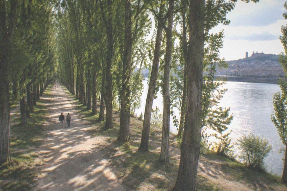 A wide river seen through trees with a city skyline of towers on the far bank