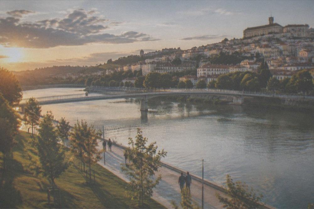 A riverside park path along the Mondego with trees and open grass on the left bank