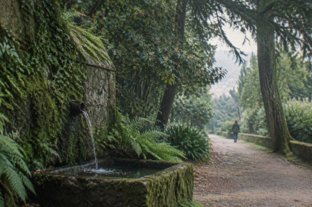 Old stone fountain surrounded by moss and shaded by trees in a Portuguese garden