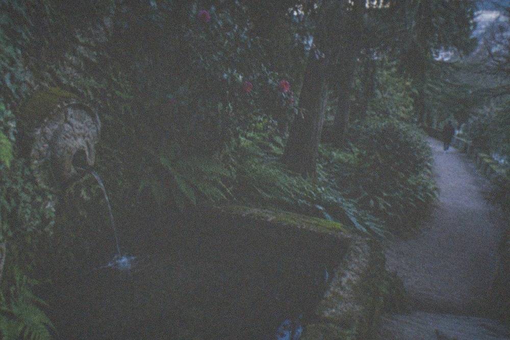 Water flowing from an old carved stone fountain into a small shaded pool