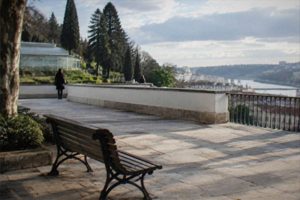 Sunlit terraces and tall trees of the University of Coimbra botanical garden with a greenhouse in the background