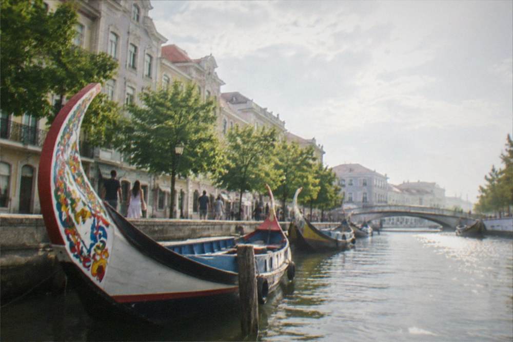 Visitors strolling along a sunlit canal-side promenade lined with trees in Aveiro