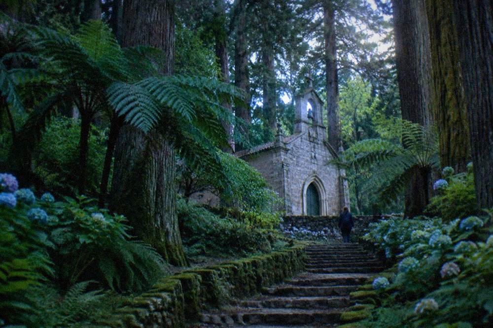 A stone chapel set among tall trees in a green forest