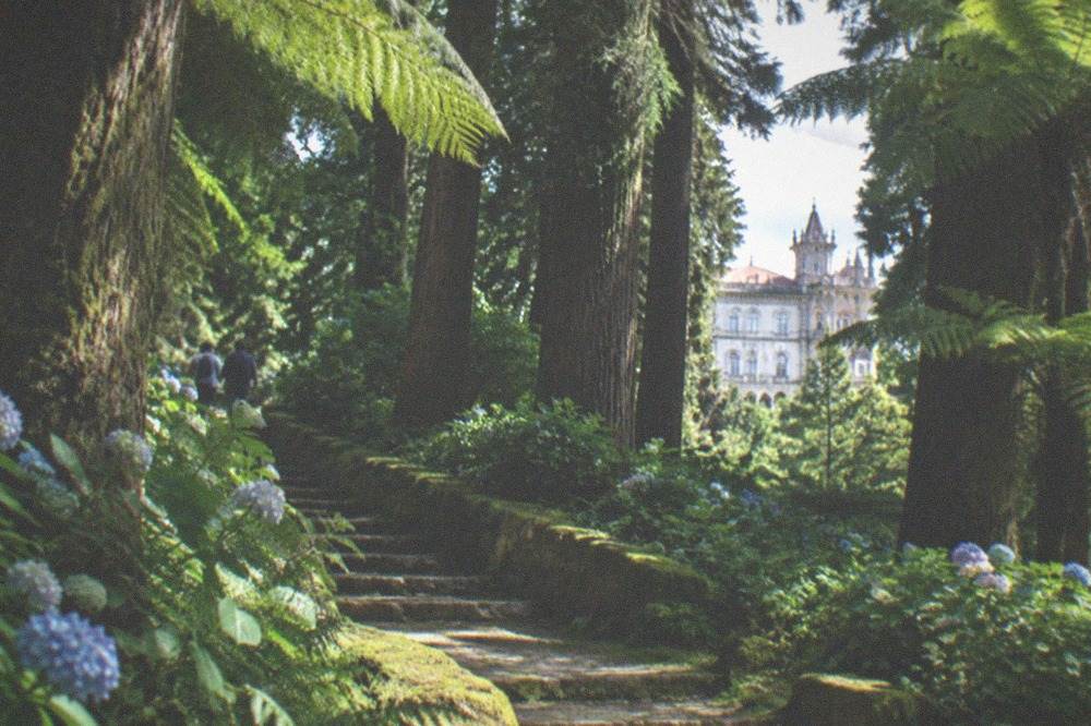 An ornate palace building seen through a gap in tall forest trees