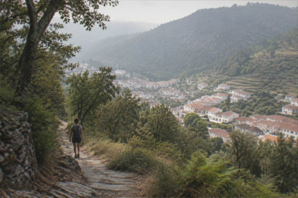 Hiker with a small backpack walking a stone path through woodland