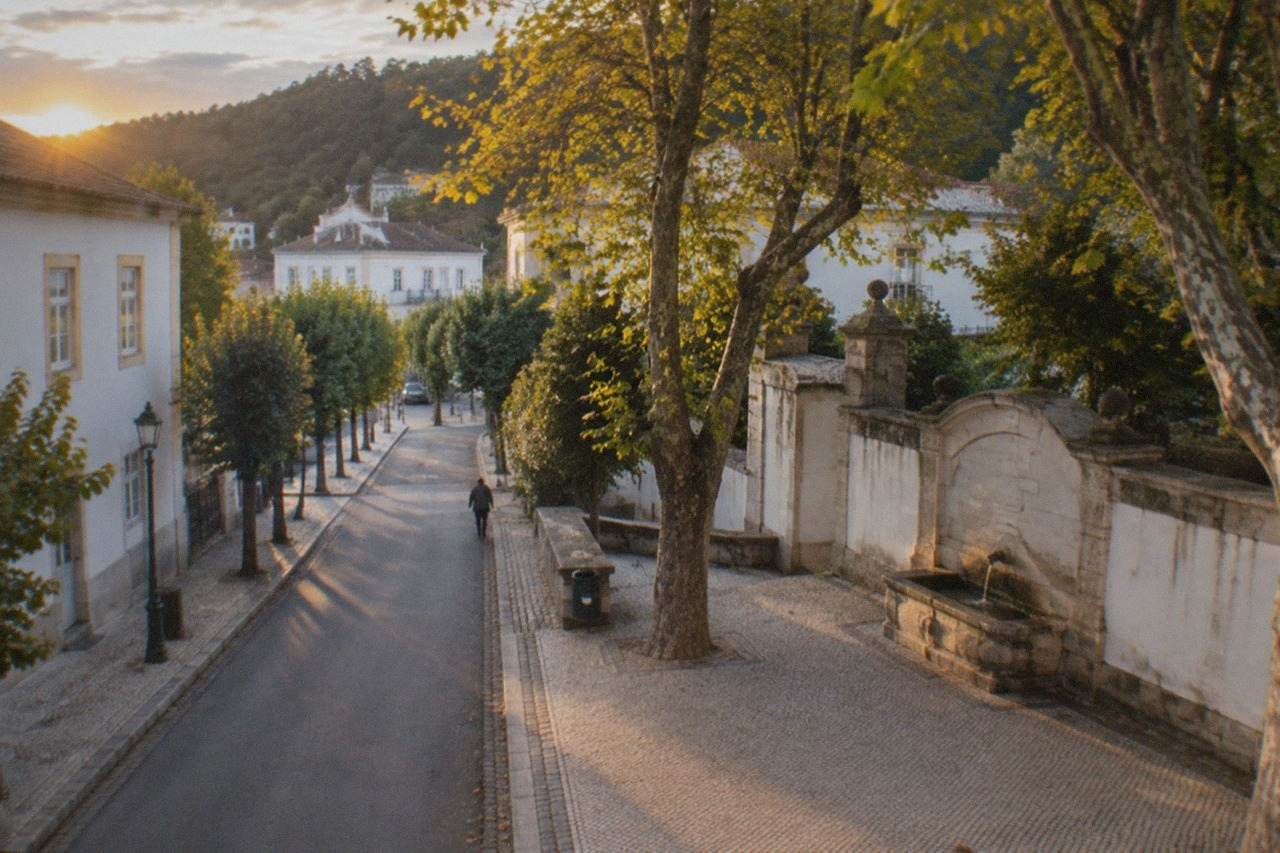 A quiet tree-lined avenue in a small Portuguese spa town with stone buildings