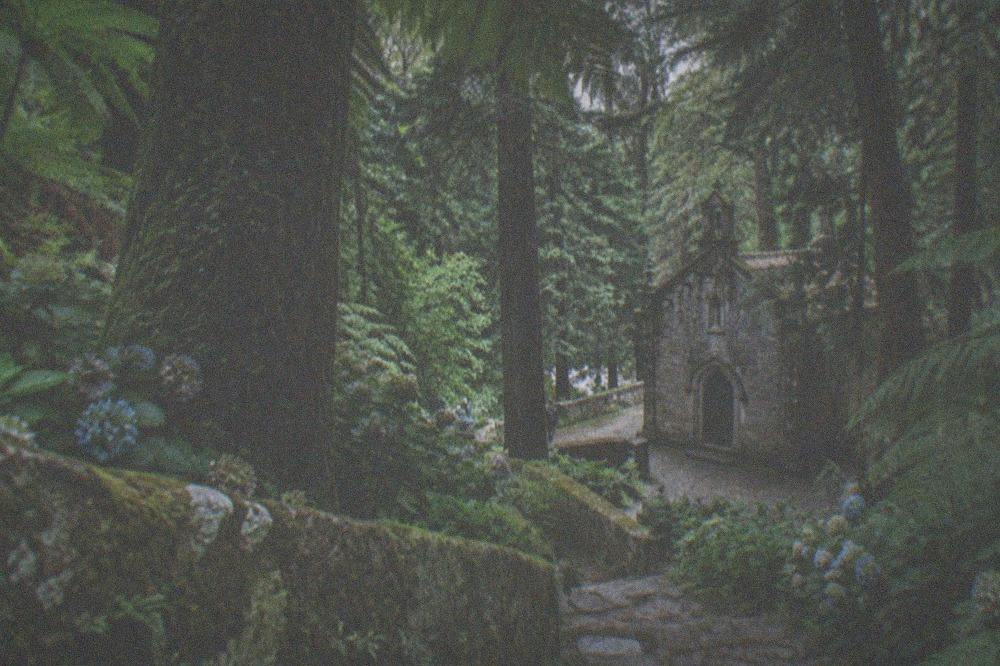 A stone hermitage chapel nestled among tall trees in the Buçaco forest