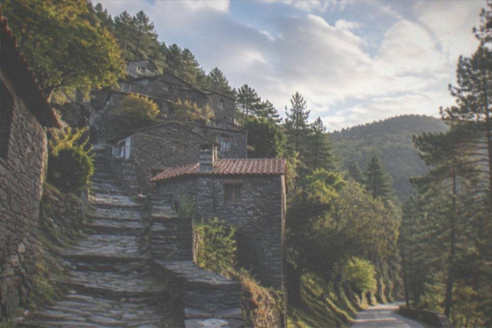 Winding narrow mountain road through pine forest