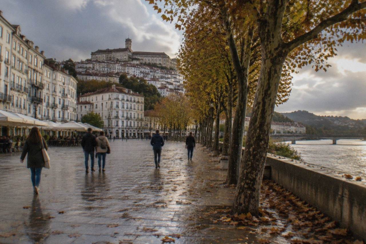 Golden autumn leaves along a riverside street in Coimbra with the university hill rising above