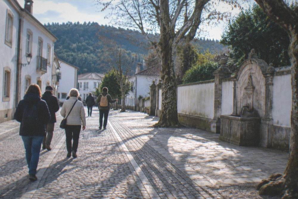 A small group of visitors walking with a guide through a sunlit old town street