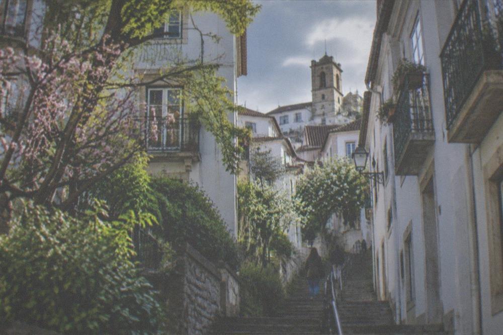 Spring blossom and green foliage along a stone stairway in Coimbra's upper town
