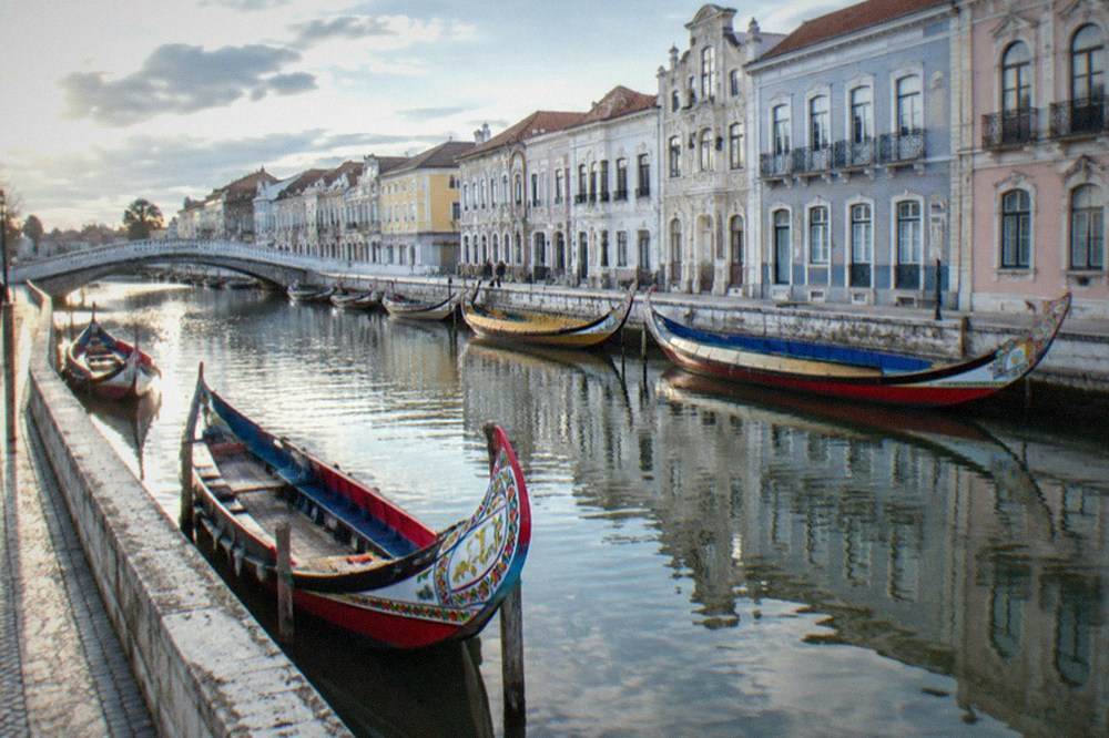 Colourful moliceiro boats moored along a canal lined with white art nouveau buildings