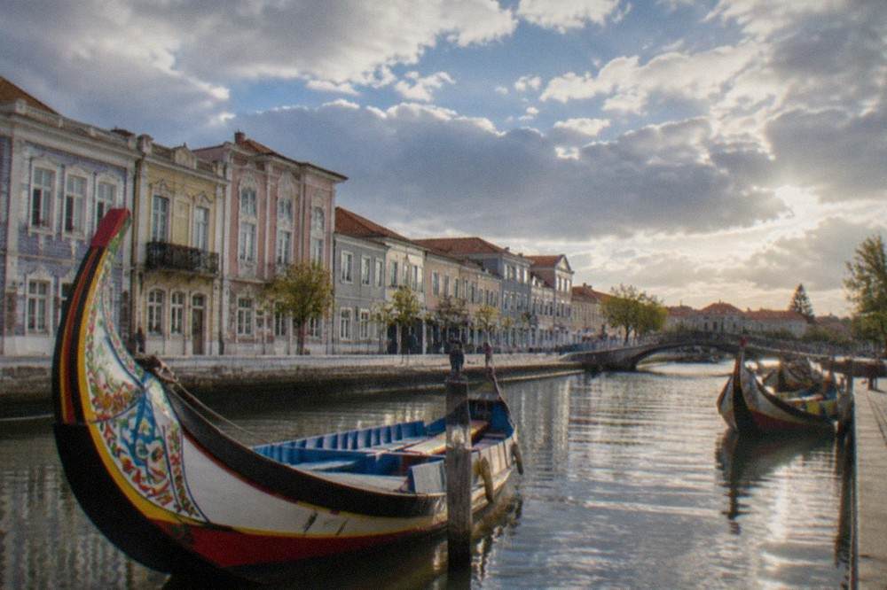 Colourful moliceiro boats moored along a canal in Aveiro with striped prows facing the water
