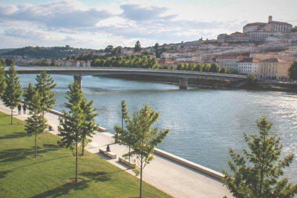 The Mondego riverside park in Coimbra with trees and the city bridge in the background