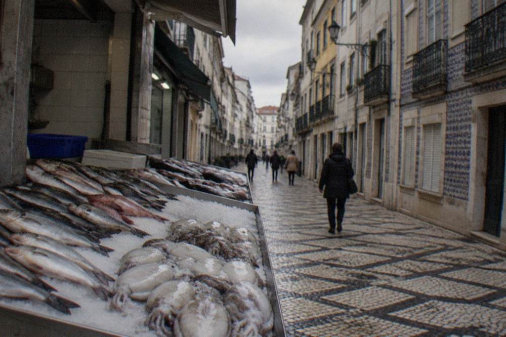 A fish stall with whole fish and cuttlefish laid out on crushed ice at a Portuguese market