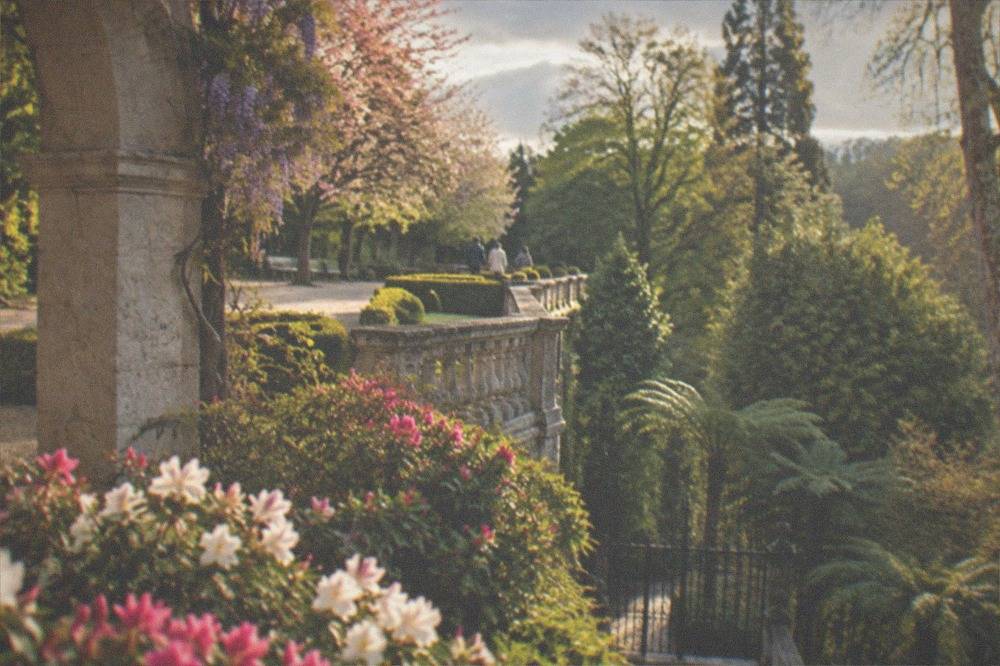 Spring flowers blooming in Coimbra's botanical garden beside a stone arch