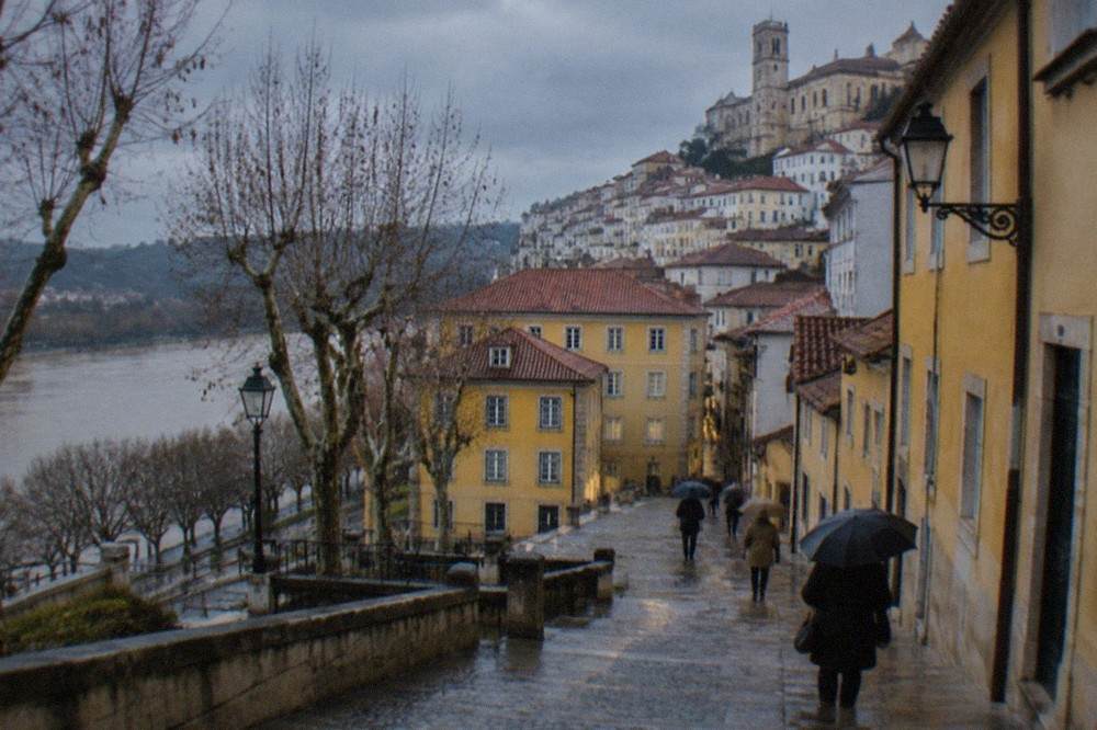 Rain-slicked cobbled street in Coimbra's old town with yellow tram-style buildings and bare plane trees